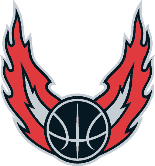 Portland Trail Blazers 2002-2006 Alternate Logo DIY iron on transfer (heat transfer) Portland Trail Blazers 2002-2006 Alternate Logo DIY iron on transfer (heat transfer)